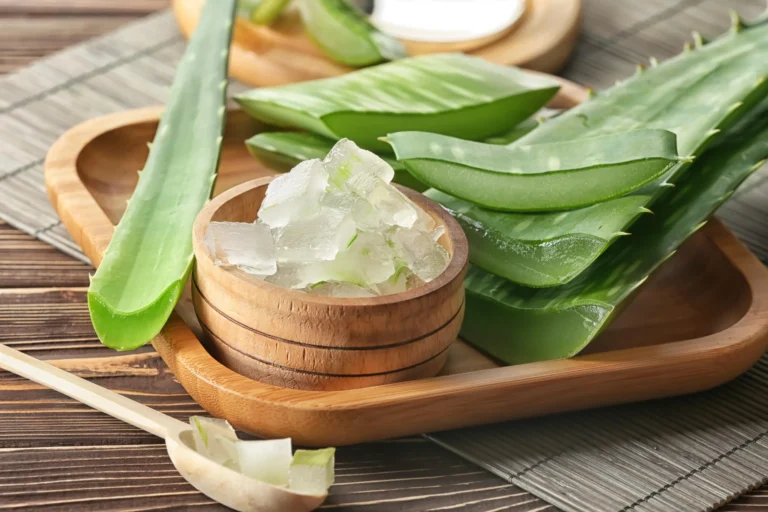 Aloe barbadensis leaf juice